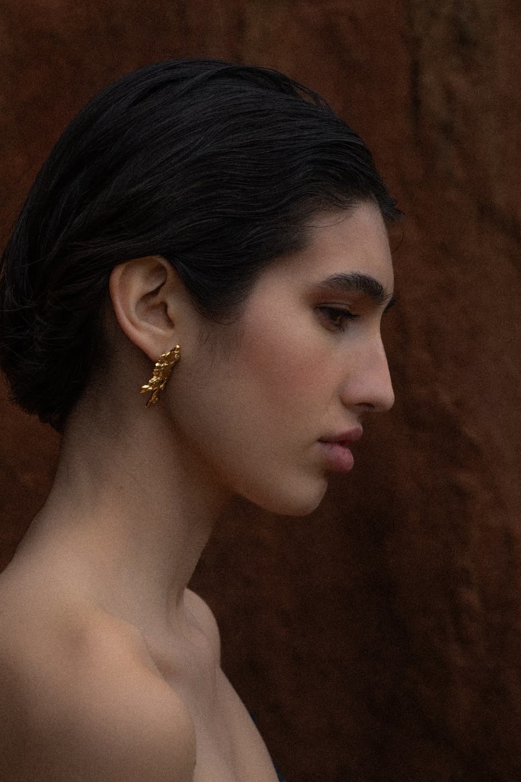 Profile portrait with hair pulled back and a gold earring on a rust ground — LES SOLIDES, by Kenneth Kemp